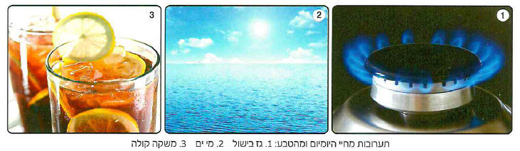 (בספר תמונות, היעזר במנחה)